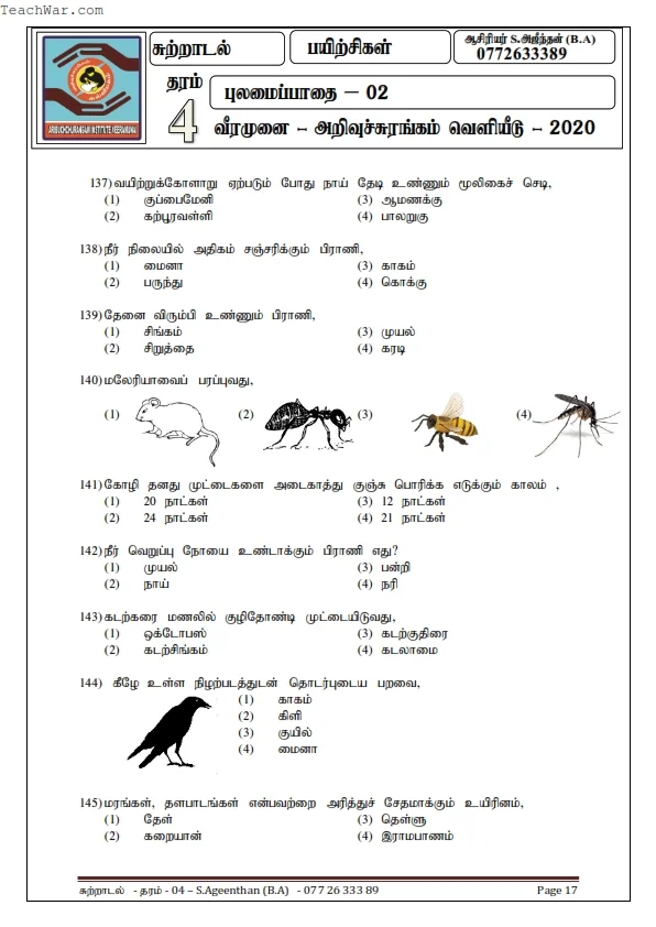 Grade 4 E.R.A Questions Pdf